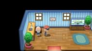 The Move Tutor on Route 228. (Image via ILCA)